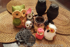 My Owl Collection