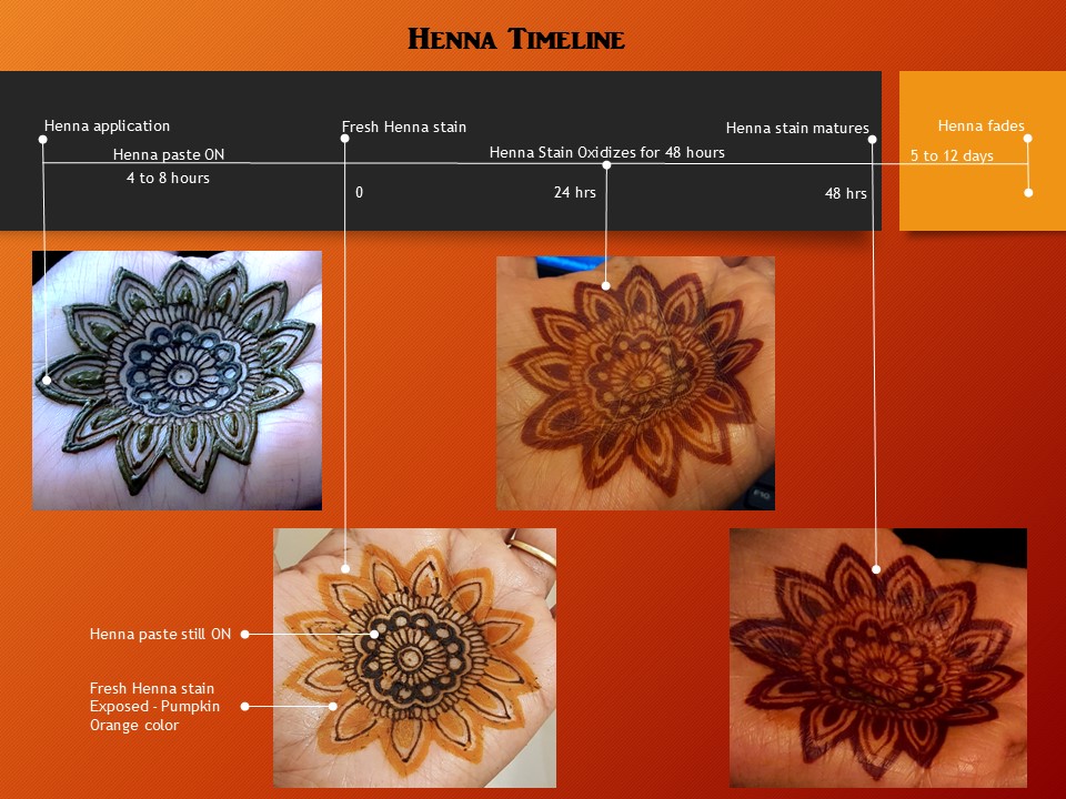 Henna Timeline